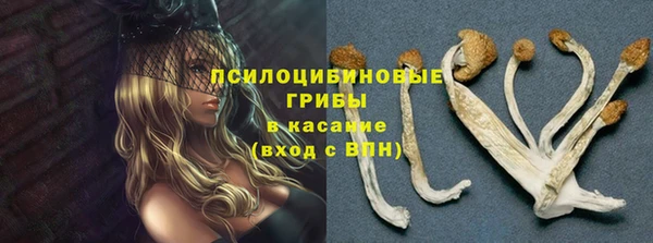 MESCALINE Горнозаводск